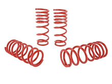 Load image into Gallery viewer, Skunk2 00-04 Honda S2000 Lowering Springs (2.00in. - 1.80in.) (Set of 4) Lowering Springs Skunk2 Racing
