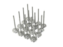 Load image into Gallery viewer, Skunk2 Alpha Series Honda/Acura +1mm K Series VTEC Valve (Standard Compression) Valves Skunk2 Racing