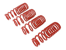 Load image into Gallery viewer, Skunk2 94-01 Acura Integra Lowering Springs (2.50in - 2.25in.) (Set of 4) Lowering Springs Skunk2 Racing