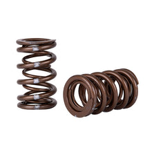 Load image into Gallery viewer, Skunk2 Pro Series Honda/Acura K-Series i-VTEC XP Valve Spring Set (Dual Springs) Valve Springs, Retainers Skunk2 Racing