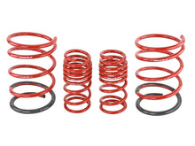 Load image into Gallery viewer, Skunk2 01-05 Honda Civic Lowering Springs (2.25in - 2.00in.) (Set of 4) Lowering Springs Skunk2 Racing