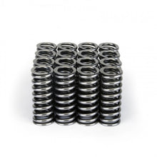 Load image into Gallery viewer, Skunk2 Alpha Series Honda D Series VTEC Valve Spring Set Valve Springs, Retainers Skunk2 Racing