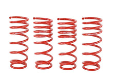 Load image into Gallery viewer, Skunk2 00-04 Honda S2000 Lowering Springs (2.00in. - 1.80in.) (Set of 4) Lowering Springs Skunk2 Racing
