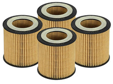 Load image into Gallery viewer, aFe AFE44-LF029-MB aFe Pro GUARD D2 Oil Filter 06-19 BMW Gas Cars L6-3.0T N54/55 - 4 Pack