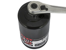 Load image into Gallery viewer, aFe AFE44-LF007-MB aFe Pro GUARD D2 Oil Filter 97-08 Ford Trucks V6 4.2L / V8 4.6L (4 Pack)