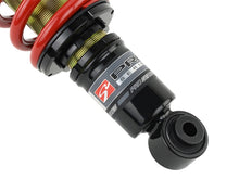 Load image into Gallery viewer, Skunk2 01-05 Honda Civic / 01-05 Acura Integra Pro-ST Coilovers (Front 10 kg/mm - Rear 10 kg/mm) Coilovers Skunk2 Racing