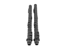 Load image into Gallery viewer, Skunk2 Ultra Series Honda/Acura K20A/K20A2/K20Z1/K20Z3/K24A2 DOHC i-VTEC Drop In D1 Camshafts Camshafts Skunk2 Racing