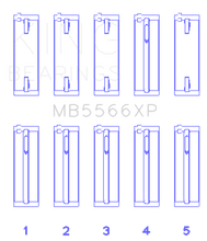 Load image into Gallery viewer, King Audi A4 1.8L AEB (Size STDX) Performance Main Bearing Set Bearings King Engine Bearings