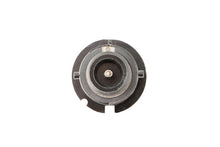 Load image into Gallery viewer, Diode Dynamics HID Bulb D2S 6000K (Pair) Bulbs Diode Dynamics