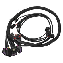 Load image into Gallery viewer, Edelbrock EDE36110 Edelbrock 11-14 Ford Coyote DBW VCC Pro-Flo 4+ EFI Fuel Injection Kit