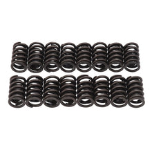 Load image into Gallery viewer, Edelbrock EDE5824 Edelbrock Valve Springs E-Street Heads Set of 16