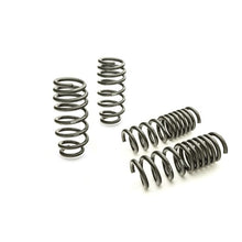 Load image into Gallery viewer, Eibach EIB28105.140 Eibach Pro-Kit for 11-12 Dodge Charger 2WD V6 / 2WD V8 (Will Not Effect Vehicle Height On Scat Pack)