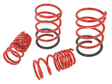 Load image into Gallery viewer, Skunk2 02-05 Honda Civic Si Hatchback Lowering Springs (2.25in - 2.00in.) (Set of 4) Lowering Springs Skunk2 Racing