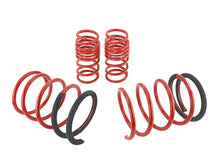 Load image into Gallery viewer, Skunk2 05-06 Acura RSX Lowering Springs (2.25in - 2.00in.) (Set of 4) Lowering Springs Skunk2 Racing