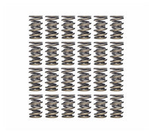 Load image into Gallery viewer, Ferrea S10148 Ferrea 75lbs Dual Valve Spring Kit - VW 24V VR6 3.2L | S10148
