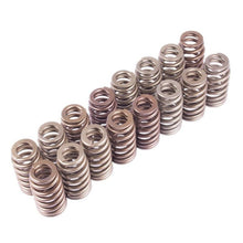 Load image into Gallery viewer, Ford Racing FRPM-6513-M50BR Ford Racing BOSS 302R Valve Spring Kit