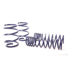 Load image into Gallery viewer, H&amp;R 96-03 BMW 540i E39 Race Spring (Non Touring &amp; w/o Sport Susp.)
