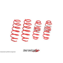 Load image into Gallery viewer, Tanabe NF210 Springs 2016 Honda HR-V (FWD) | TNF198
