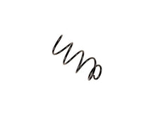 Load image into Gallery viewer, Coil Spring
