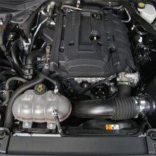 Load image into Gallery viewer, Photo - Mounted
