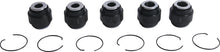 Load image into Gallery viewer, All Balls Racing Rear Ind. Suspension Kit | 50-1248
