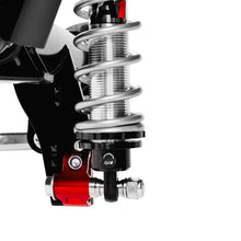 Load image into Gallery viewer, Photo - Close Up
