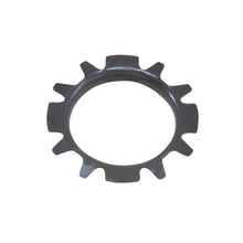 Load image into Gallery viewer, Photo - Primary
