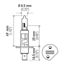 Load image into Gallery viewer, Technical Drawing
