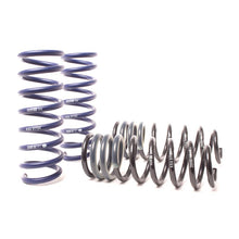 Load image into Gallery viewer, H&amp;R 09-15 BMW 750i F01 Super Sport Spring (w/o Self-Leveling)
