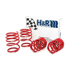 Load image into Gallery viewer, H&amp;R 01-06 BMW 325Ci Cabrio/330Ci Cabrio E46 Race Spring (w/Sport Suspension)
