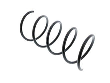 Load image into Gallery viewer, Coil Spring
