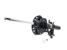 Load image into Gallery viewer, Strut
