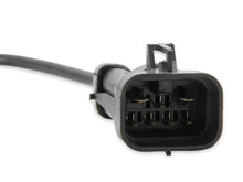 Load image into Gallery viewer, 1bblharness_02.jpg
