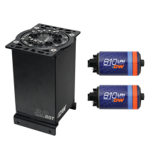 Load image into Gallery viewer, DeatschWerks 3.0L Staged Surge Tank w/ DW810 Fuel Pumps
