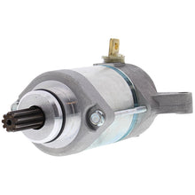 Load image into Gallery viewer, Arrowhead Mitsuba 12V 9T Str Uncategorized Arrowhead   
