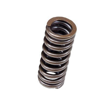 Load image into Gallery viewer, BLOX Racing Valve Springs for D-series SOHC VTEC D16Z-Y (1.6L SOHC VTEC)
