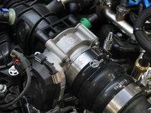 Load image into Gallery viewer, Photo - Mounted
