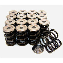 Load image into Gallery viewer, GSC P-D Honda B-Series Vtec Dual Spring Set and Titanium Retainer
