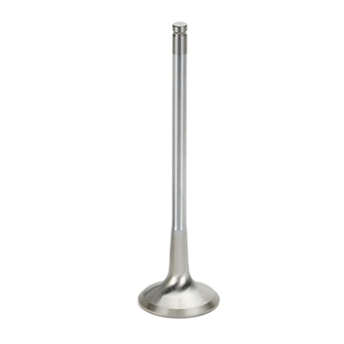 Supertech SB Chevy 1.600x.341x5.000in Chrome Undercut Exhaust Valve - Single (Drop Ship Only) Supertech