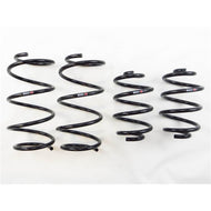 RS-R 13+ Nissan Sentra (TB17 (B17)) Down Sus Springs | N205D