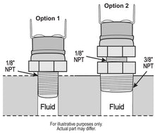 Load image into Gallery viewer, 16721-Illustration.jpg
