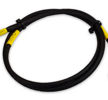 Load image into Gallery viewer, AEM CD-7/CD-7L Plug and Play Adapter Harness for Holley EFI AEM
