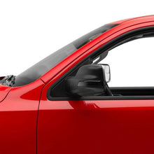 Load image into Gallery viewer, Photo - Close Up
