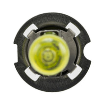 Load image into Gallery viewer, Photo - Close Up
