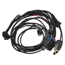 Load image into Gallery viewer, 036130_v3.jpg
