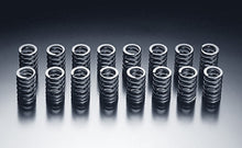 Load image into Gallery viewer, HKS 85-91 Toyota Corolla GTS / 85-89 MR2 Valve Spring Set Valve Springs, Retainers HKS   
