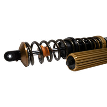 Load image into Gallery viewer, Bilstein Shock Absorber and Coil Spring Assembly Bilstein Suspension Shock Absorber and Coil Spring Assembly 41-338872
