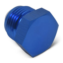Load image into Gallery viewer, Russell Performance -12 AN Flare Plug (Blue) Russell
