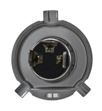 Load image into Gallery viewer, Photo - Primary
