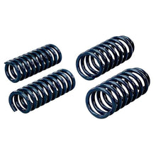 Load image into Gallery viewer, Hotchkis 90-96 GM B Body Coil Springs
